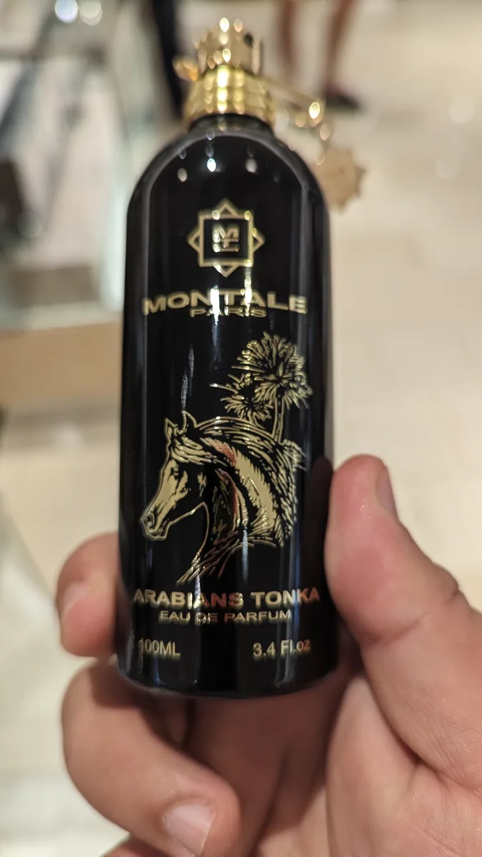 Montale Arabians Tonka