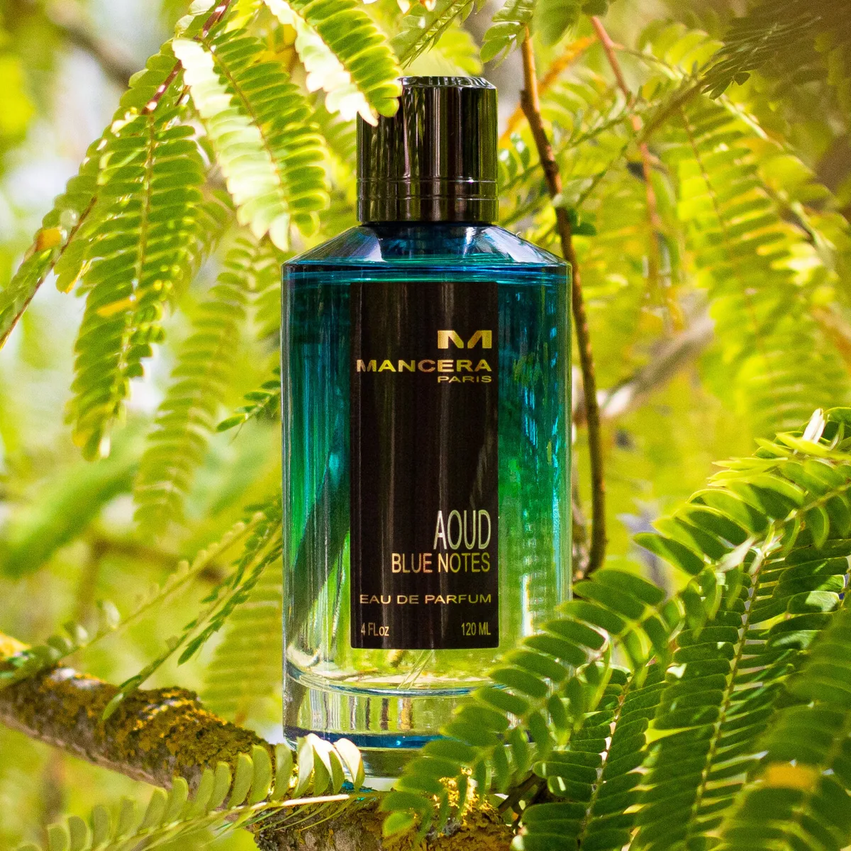 Mancera Aoud Blue Notes